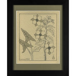 Flowering Shrub Berry Stalk Drawing India Ink on Handmade Paper with Black Frame