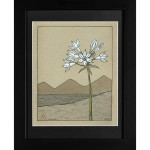 Rowena Platuea WildFlower Black Frame India Ink on Paper